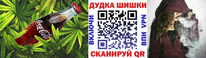 Купить где  Кашин  Cannafood конопля 