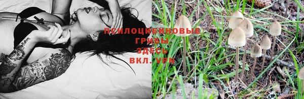 СК Елабуга