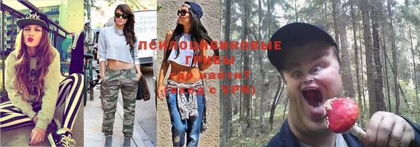 спиды Дмитриев