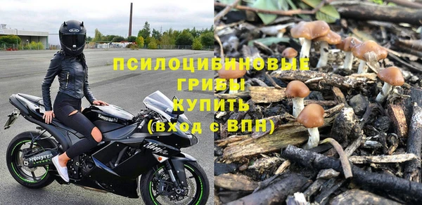 СК Елабуга