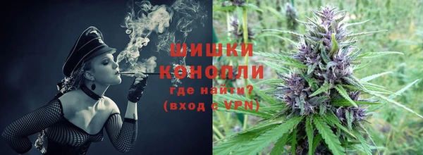 СК Елабуга