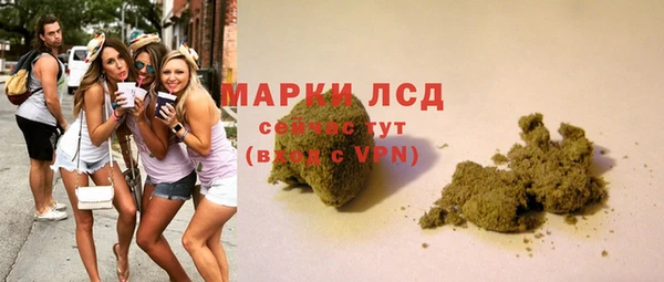 СК Елабуга