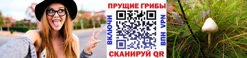 Псилоцибиновые грибы Magic Shrooms Кашин